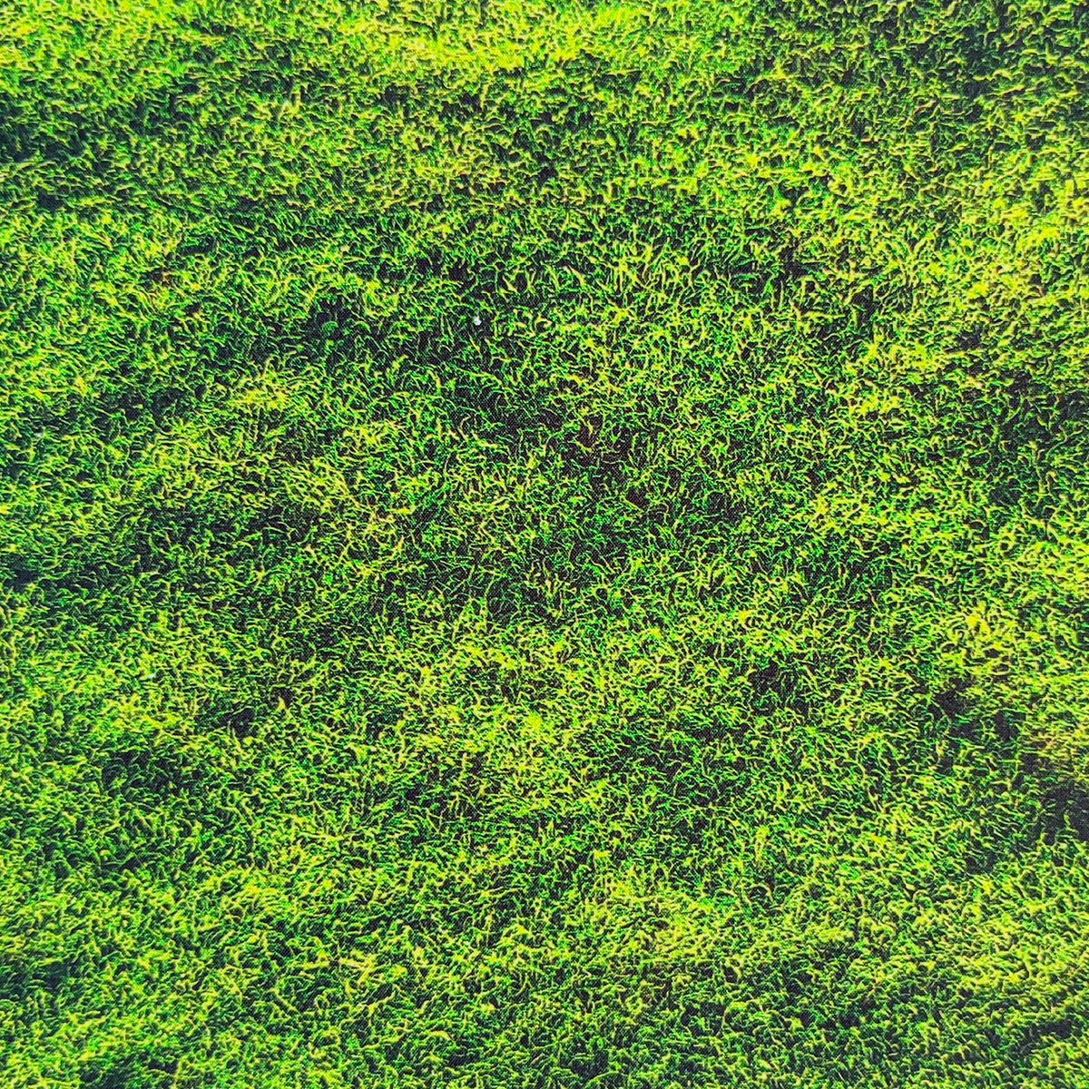 Form´it - Moss - 1 Rolle = 10 lfm  = 12m²